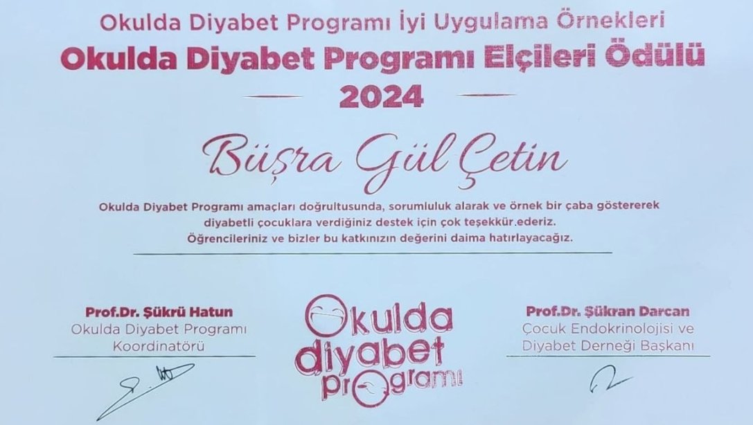 2024 DİYABET ELÇİSİ DENİZLİ MEM'DE